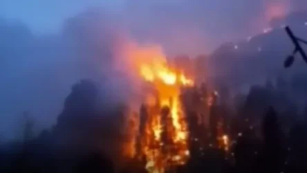 ՏԵՍԱՆՅՈՒԹ. Սիբիրն ու Ուրալը վառվում են. խոշոր հրդեհ` անտառում