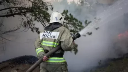 Կրասնոյարսկի երկրամասում հրդեհների դեպքով երեք մարդ է ձերբակալվել