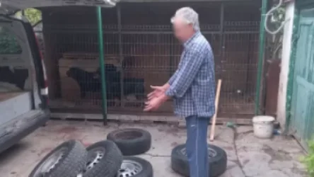 ՌԴ-ում շունը հարձակվել է 10-ամյա աղջկա վրա. փոքրիկը մահացել է