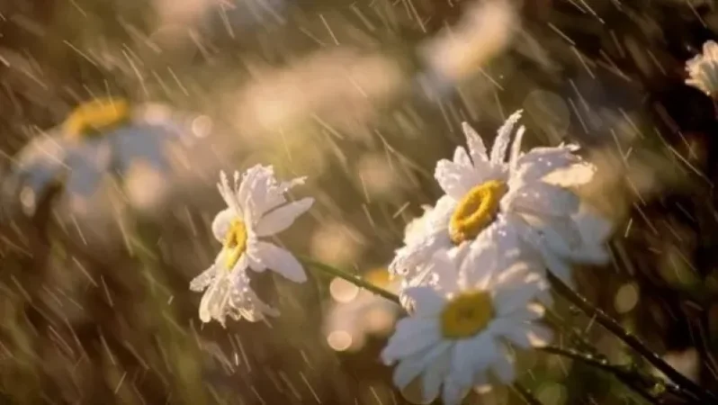 Առաջիկա 4 օրվա եղանակի կանխատեսում