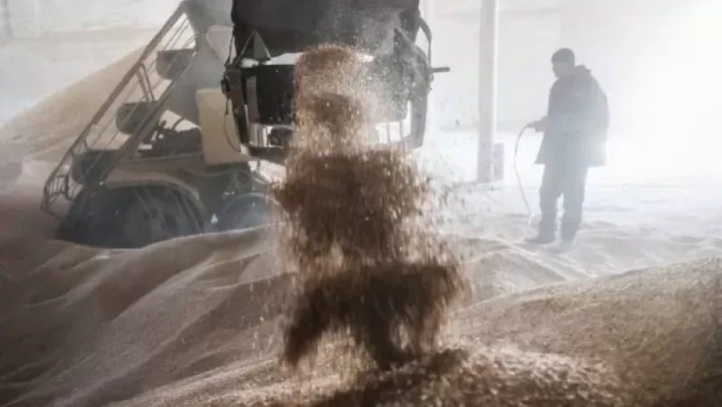 Վրաստանում ցորենի պաշարները փաստացի սպառված են