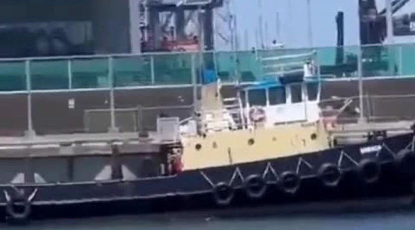 ՏԵՍԱՆՅՈՒԹ. Սիդնեյում պաղեստինյան դրոշներով ցուցարարների նավակները կանխել են իսրայելական բեռնատար նավի մուտքը նավահանգիստ