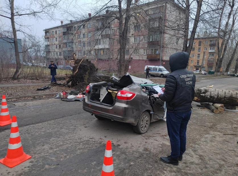 ՏԵՍԱՆՅՈՒԹ. Ուժգին քամուց ծառն ընկել է մեքենայի վրա. կան զոհեր և տուժածներ. ՌԴ