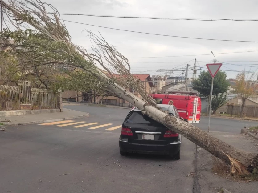 Երևանում քամու հետևանքով ծառը շրջվել է կայանած ավտոմեքենայի վրա