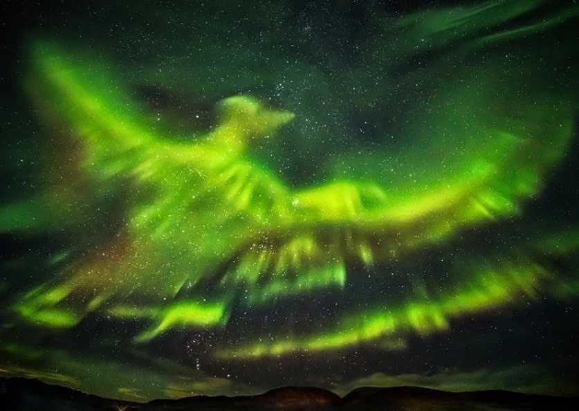 ԼՈՒՍԱՆԿԱՐՆԵՐ․ NASA-ն ցուցադրել է հյուսիսափայլի յուրօրինակ լուսանկարներ՝ թռչնի տեսքով