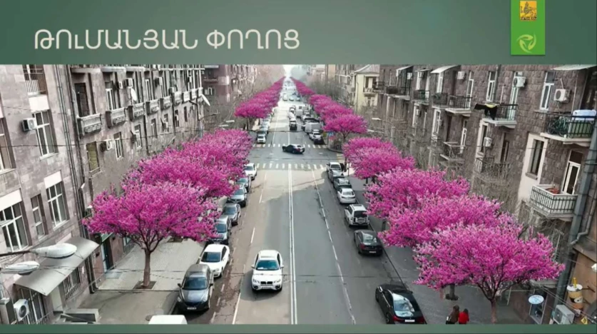 ՏԵՍԱՆՅԿՈՒԹ. Մայրաքաղաքի մի շարք փողոցներում կանաչապատման մեծ ծրագրեր կիրականացվի