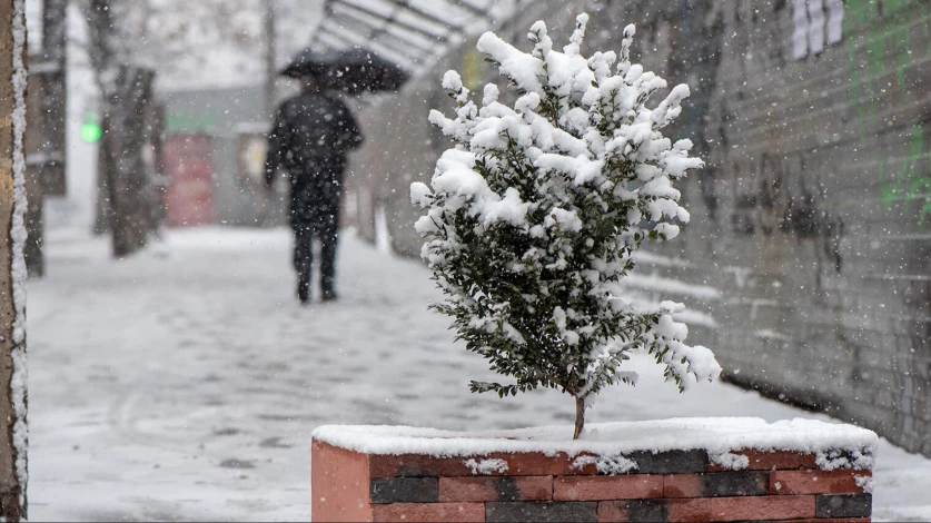 Որոշ տարածաշրջաններում տեղում է ձյուն