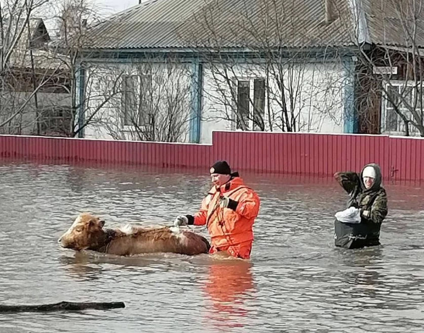 ՏԵՍԱՆՅՈՒԹ․ Ռուսաստանում հարյուրավոր տներ ջրի տակ են անցնում