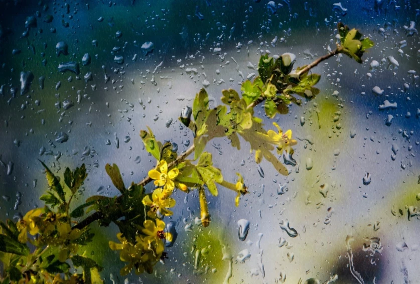 Կարճատև անձրև, ամպրոպ, որի ընթացքում՝ քամու ուժգնացում․ եղանակը՝ ՀՀ-ում