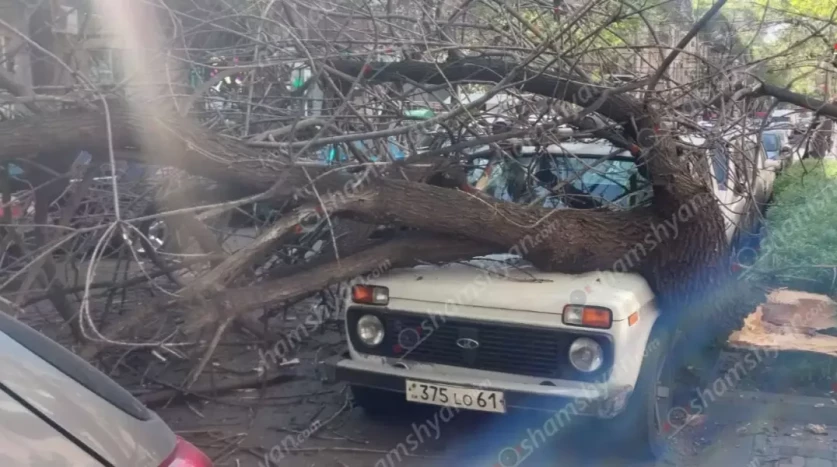Արտակարգ դեպք՝ Երևանում․ հաստաբուն ծառն ընկել է ավտոմեքենաների վրա