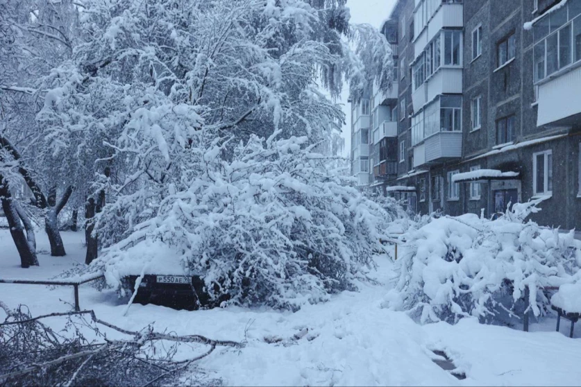 ՏԵՍԱՆՅՈՒԹ. Սվերդլովսկի մարզում առատ ձյուն է տեղացել. մարդիկ մնացել են առանց էլեկտրականության