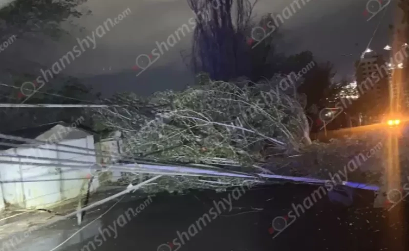 ԼՈՒՍԱՆԿԱՐՆԵՐ. Երևանում հսկայական ծառը արմատից պոկվել ու ընկել է՝ կոտրելով գազատար խողովակներ, էլեկտրալարեր
