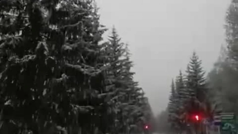 ՏԵՍԱՆՅՈՒԹ. Ձյուն է տեղում Ջերմուկի տարածաշրջանում