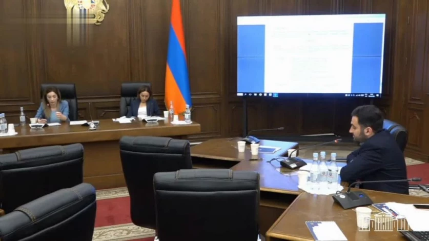 ՏԵՍԱՆՅՈՒԹ. «Դա մեզ համար խնդիր է». Հանրայինի տնօրենը` հեռուստաընկերության բյուջեի մասին