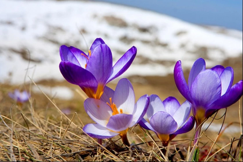 Եղանակը` Հայաստանում