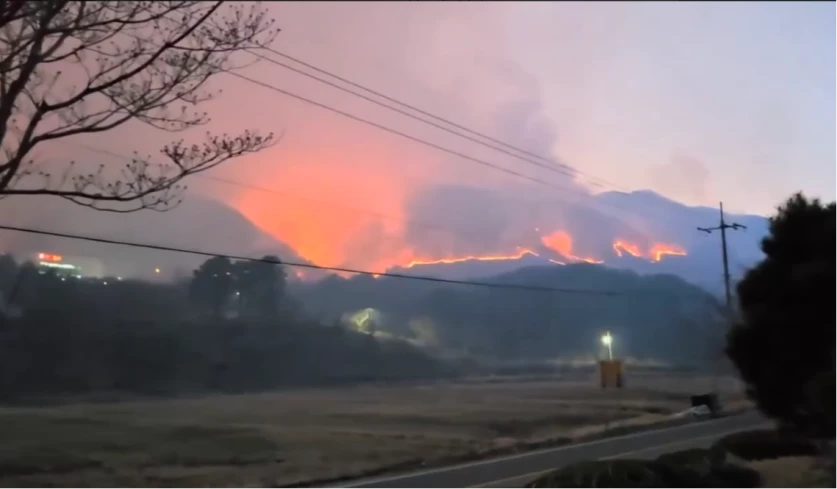 Ապոկալիպտիկ կադրեր՝ Հարավային Կորեայից