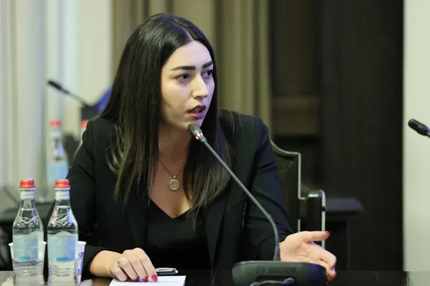 Կներկայացվի փականներով փոքր դանակների վաճառքը անչափահասների շրջանում արգելող նախագիծ