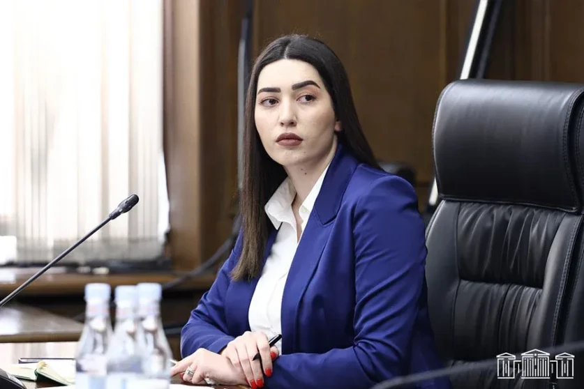 Արփինե Սարգսյանը՝  վիզաների ազատականացման ծրագրի մասին