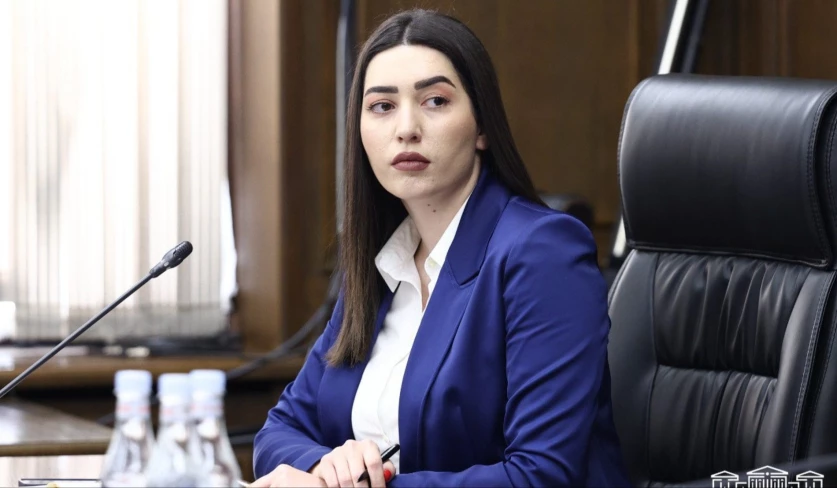 Եթե ոստիկանը հոգեկան չէ, ինչո՞ւ պետք է քաղաքացուն վերագրի արարքը.  Արփինե Սարգսյան