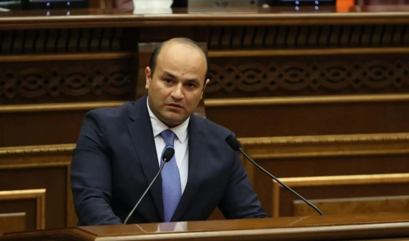 Նարեկ Մկրտչյանի եղբայրը ձերբակալվել է, դեպքի առթիվ նախաձեռնվել է քրեական վարույթ