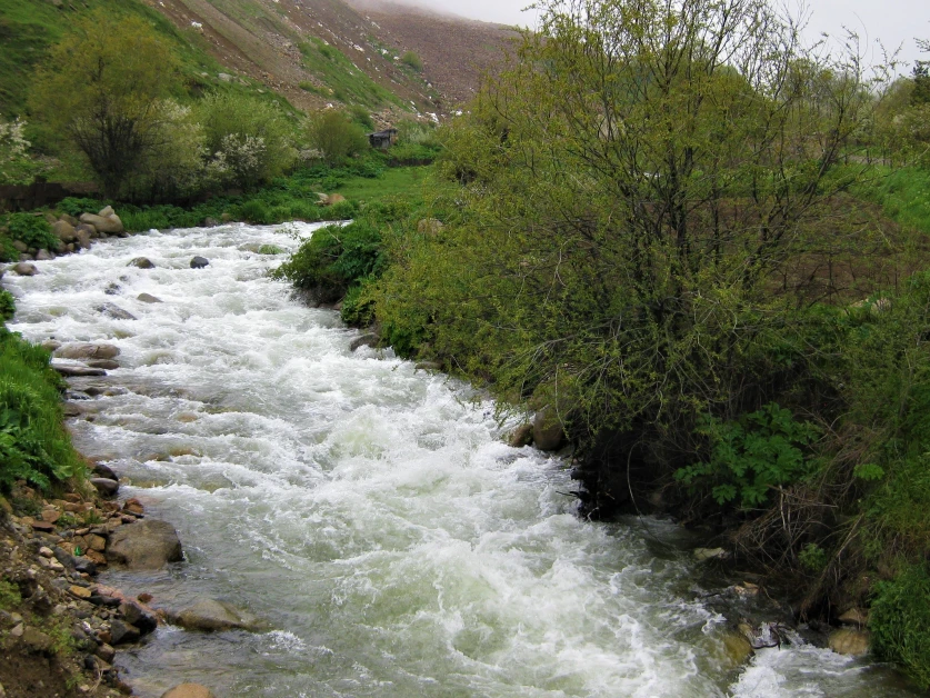 Քաղաքացին ընկել է Ողջի գետը. մանրամասներ