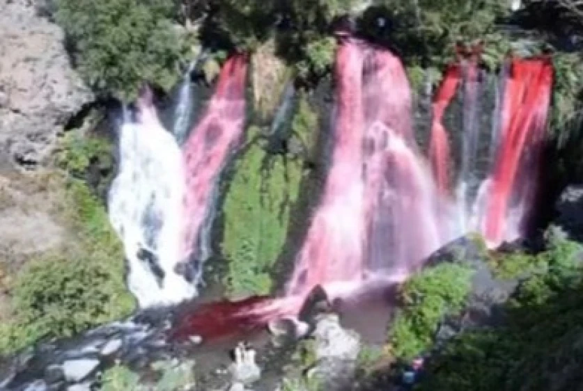 Շաքիի ջրվեժի մոտ գենդեր–փարթի կազմակերպվելով՝ խախտվել է բնության հուշարձանի պահպանության ռեժիմը