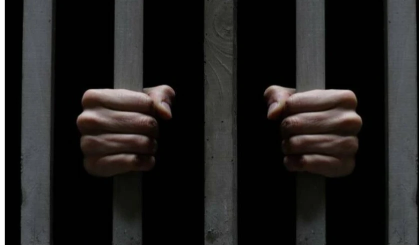 Ազատազրկված անձանց համաներման որոշում չունենք. արդարադատության նախարար