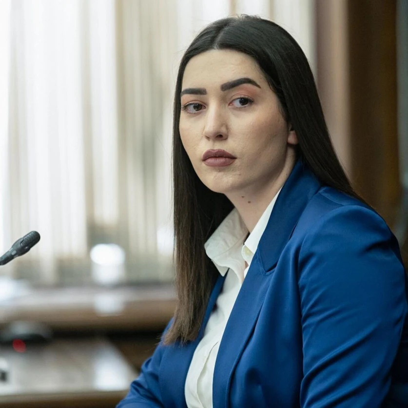 ՆԳ նախարարը՝ Փարաքարի սպանության մասին