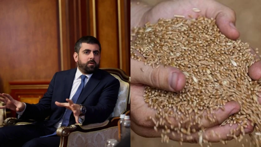 Խանդանյանը՝ Ղազախստանից ներմուծված ցորենի մասին