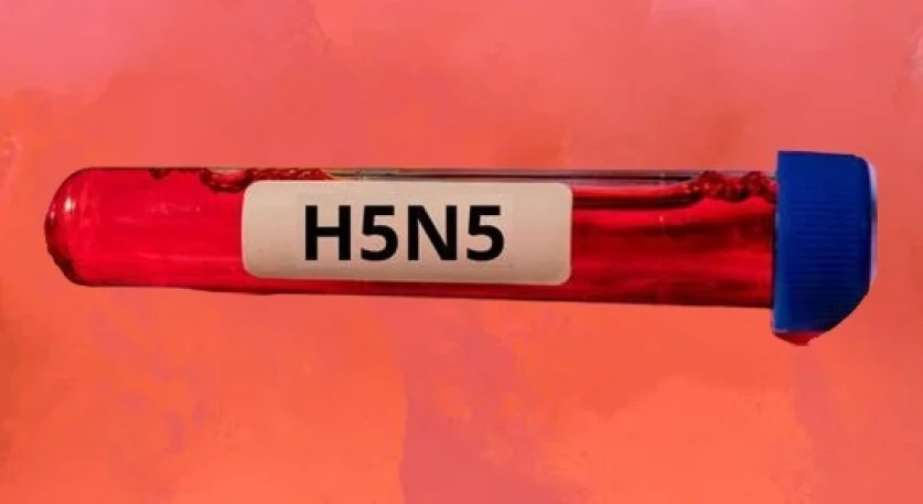 H5N5 ենթատեսակի թռչնագրիպով վարակված քաղաքացին մահացել է. ԱՄՆ