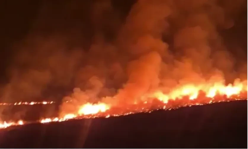ՆԳՆ-ն՝ Ճամբարակ-Թթուջուր հատվածում բռնկված հրդեհի մասին. նոր մանրամասներ