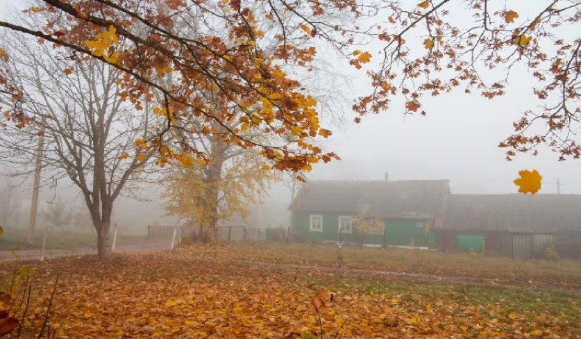 Օդի ջերմաստիճանը կնվազի. եղանակի տեսություն