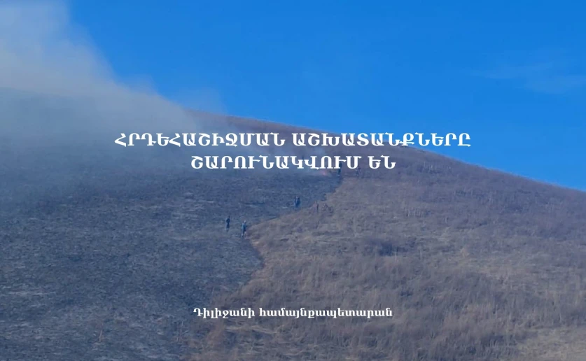 Դիլիջանի անտառային տարածքներում շարունակվում են հրդեհաշիջման աշխատանքները
