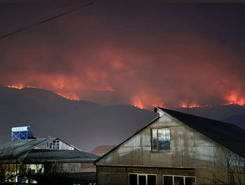 Պետք է ողջ ռեսուրսները ներդնել հրդեհաշիջման աշխատանքներին․ Դանիելյան