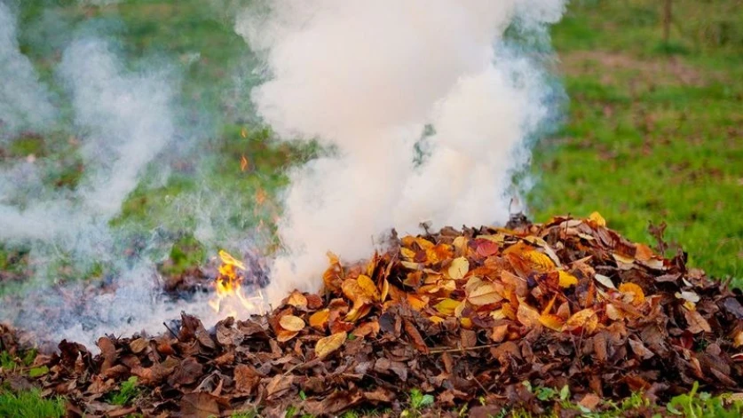 Տերևների այրումը՝ մինչև 200 հազար դրամ տուգանքի պատճառ