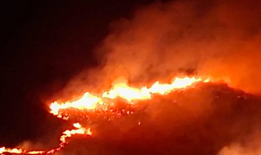 Սեմյոնովկա բնակավայրի վարչական ղեկավարը մանրամասներ է ներկայացրել Դիլիջանի հրդեհներից