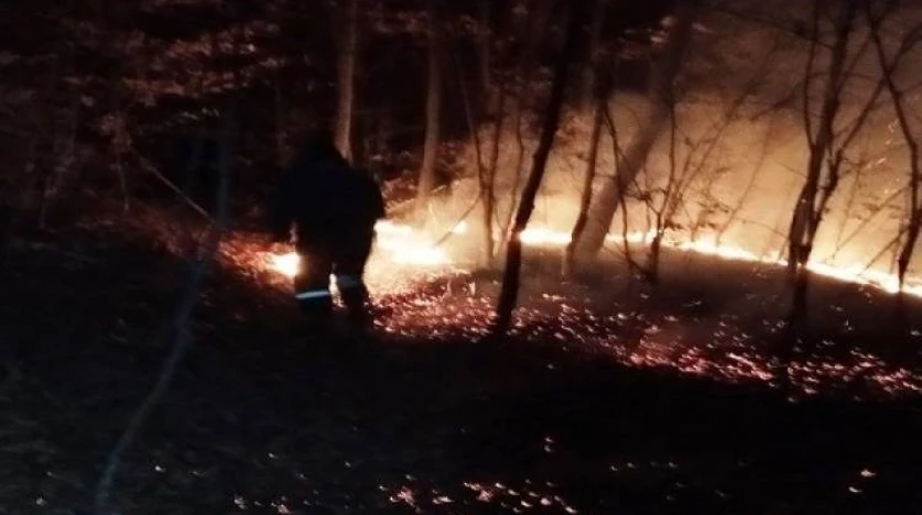 Կրակը հասել է «Դիլիջան ազգային պարկ»-ի տարածք. ՆԳՆ