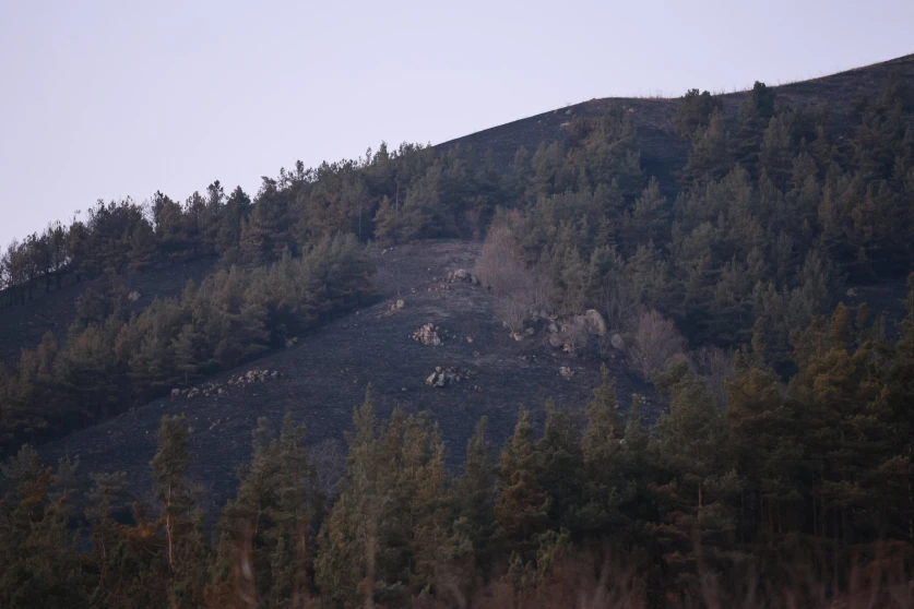 Հրդեհների հետևանքով բազմաթիվ վայրի կենդանիներ լքել են իրենց բնական միջավայրը և կարող են հայտնվել համայնքներին կամ բնակելի հատվածներին մոտ