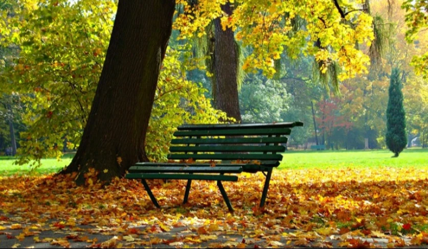 Օդի ջերմաստիճանն էապես չի փոխվի․ եղանակի տեսություն