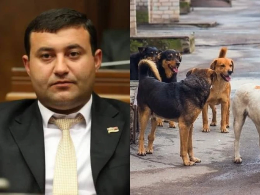 Ուշ ժամերին երեխաները տուն գնալու խնդիր ունեն, ոտքով տուն չեն կարող գնալ, շները հարձակվում են. Նարեկ Գրիգորյան