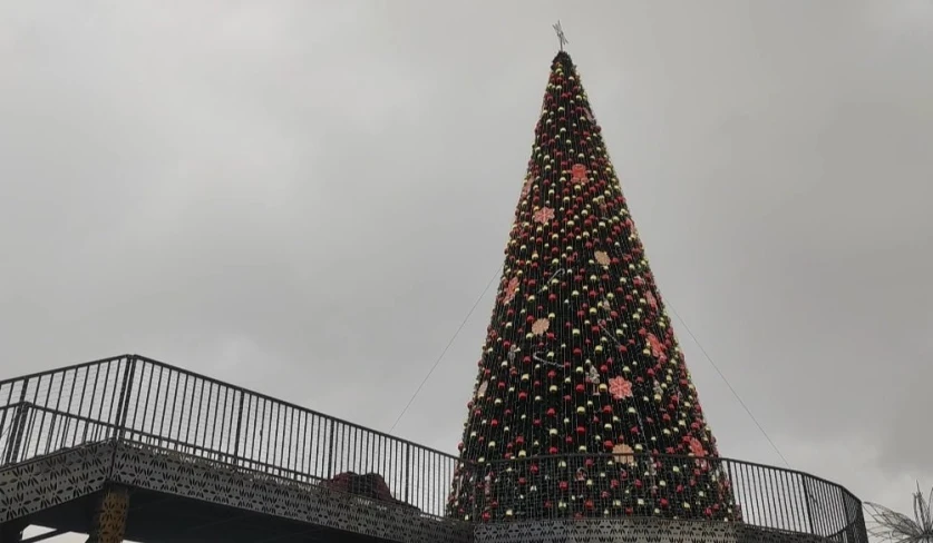 Ապարանում հերքել են տոնածառի տապալման մասին լուրերը