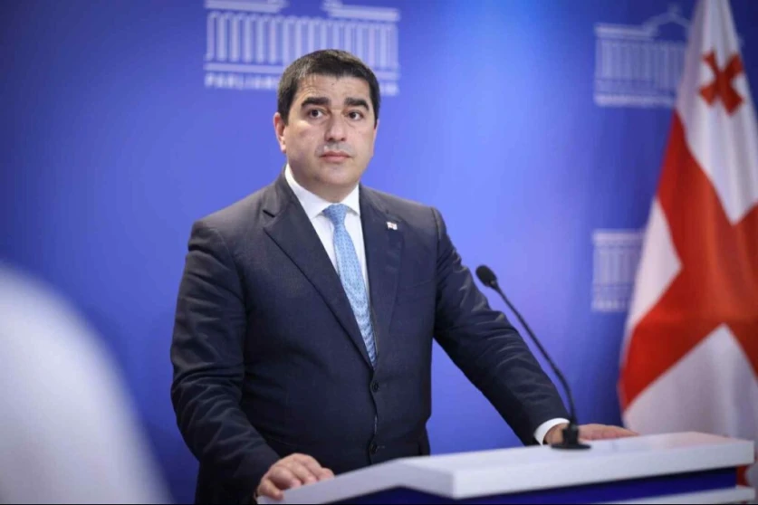 Պապուաշվիլին՝ Վրաստանի և ԵՄ-ի միջև «քաղաքակրթական անդունդի» մասին