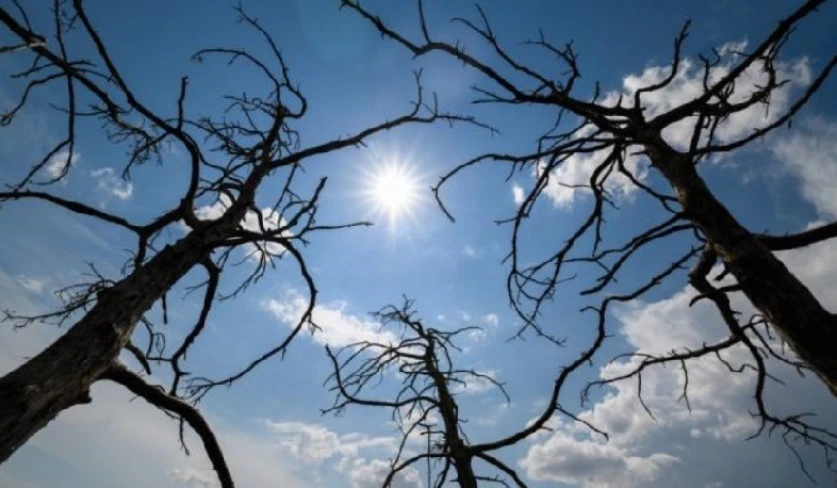 Սպասվում է առանց տեղումների եղանակ