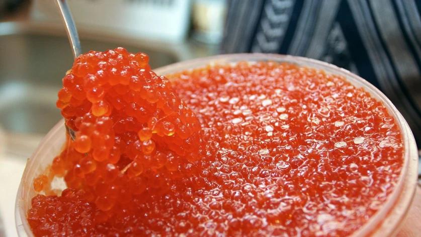 Հայաստանից սիգի ձկնկիթի արտահանման ժամանակավոր արգելք կսահմանվի