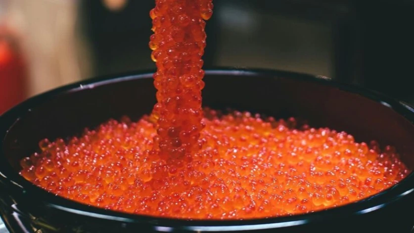 Սիգի ձկնկիթի արտահանման արգելք կսահմանվի. նախագիծը հավանության է արժանացել