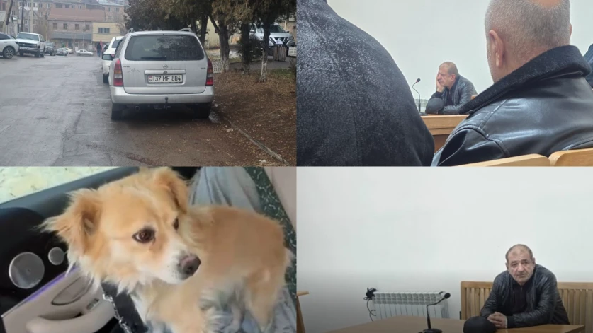 Մեքենայից շանը քարշ տված վարորդը տուգանվեց 900․000 դրամ