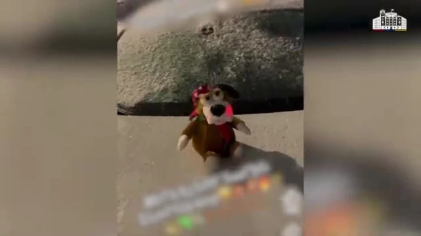 Հայտնաբերել են Ամանորի գիշերը խուլիգանություն կատարած կնոջը. ՆԳՆ ոստիկանություն