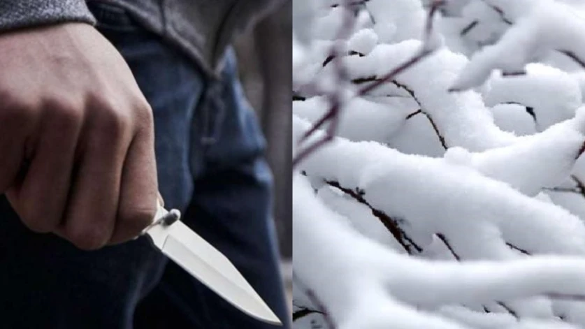 Վեճ և դանակահարություն՝ ձնագնդիով խփելու համար