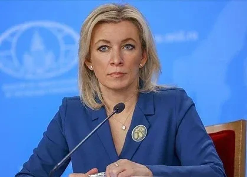 Զախարովան աբսուրդ է համարում Վարդան Ղուկասյանի խոսքի քրեականացումը