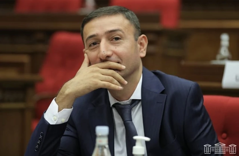 Թող առողջ լինեն ու քննադատեն․ Թունյանը՝ անվճար բուժօգնությունների մասին